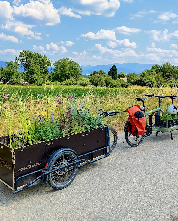 Gardening & Landscaping – Right at the scene